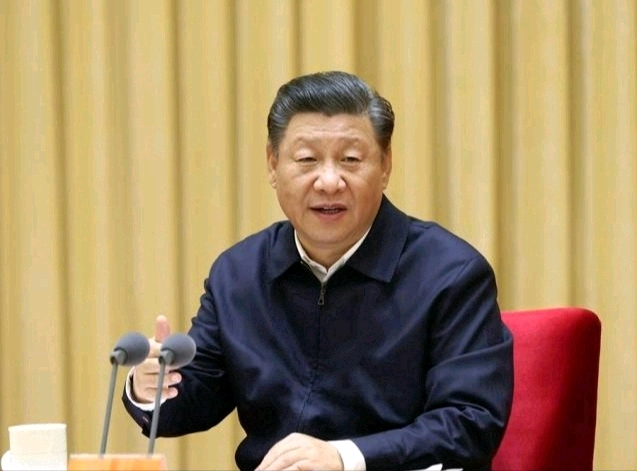 图片11111.png